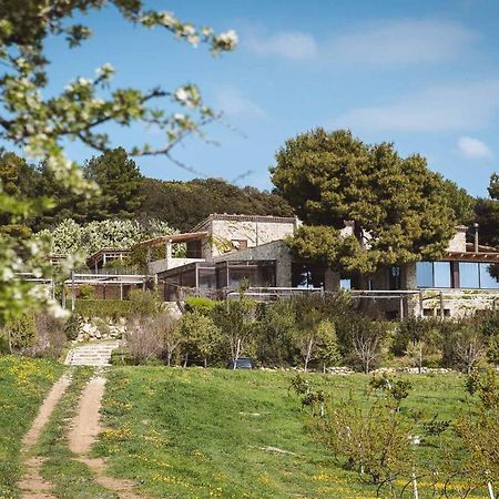 Masseria Agriturismo Torre Di Albidona Villa Trebisacce Dış mekan fotoğraf