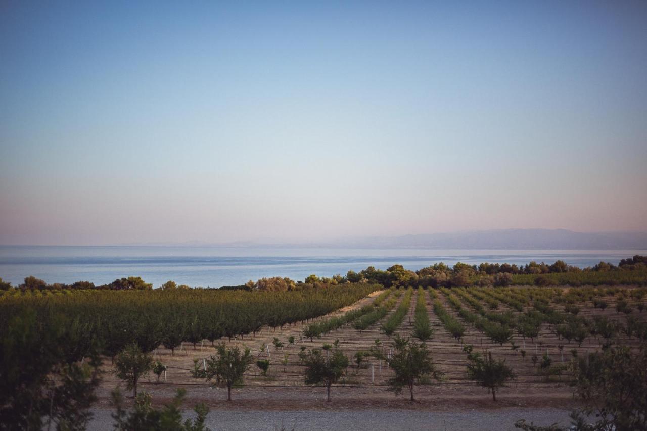 Masseria Agriturismo Torre Di Albidona Villa Trebisacce Dış mekan fotoğraf