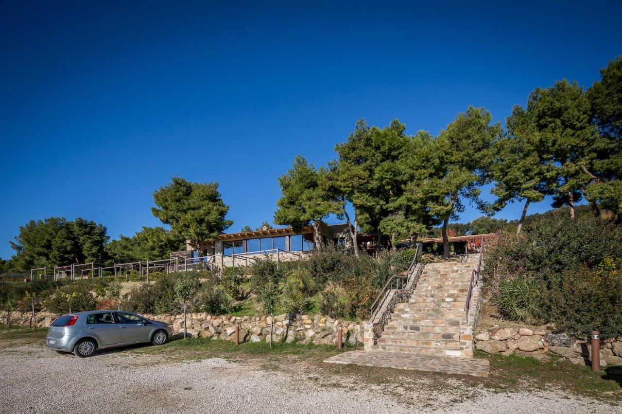 Masseria Agriturismo Torre Di Albidona Villa Trebisacce Dış mekan fotoğraf